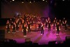 Le cercle des zicos (2010) - Les concerts