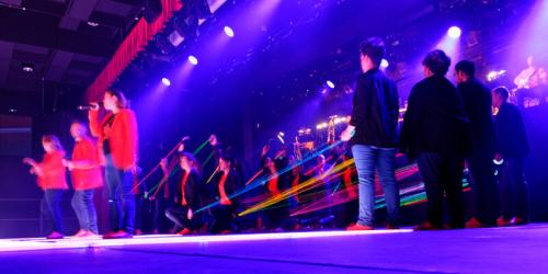 029-Disparition-progressive-des-leads