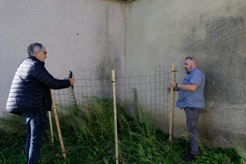 007 Pour-les-poulettes